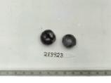 Click for 1 image(s) for this accession. FRUIT